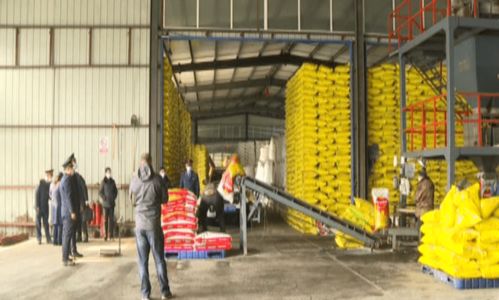 市場監(jiān)管部門抽檢化肥保春耕，筑牢肥料生產(chǎn)質(zhì)量防線